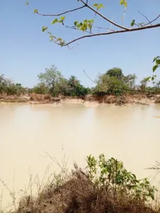 Działka budowlana Na sprzedaż 0000 Brikama Gambia  DE
