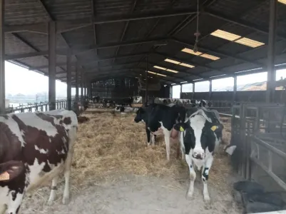 Gospodarstwo Na sprzedaż 54000 GRAFIGNY FR