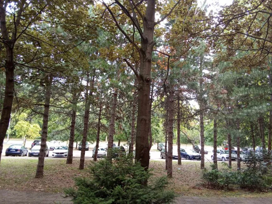 Biuro Na sprzedaż - 11111 Belgrade Vracar Stari Savski Dorcol RS Image 2